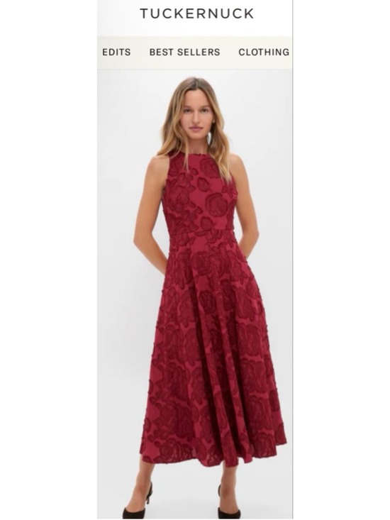 HYACINTH HOUSE Dresses & Skirts - HYACINTH HOUSE Ruby Textured Floral Melina Maxi Dress L NWT Sold Out Style!